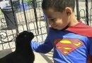 Five-Year-Old Takes Animal Rescue To A Whole New Level, Wears Capes While Saving Stray Cats In Philly